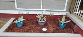 Country Cottage - Image 4
