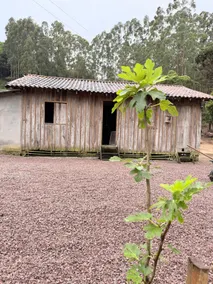 Retreat in Nature - farmhouse to relax - Image 3
