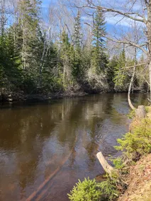 Paradise by the river - Image 3