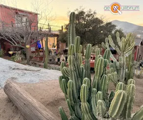 Magical Cabin in Tecate, B.C. Start of the Wine Route - Image 4