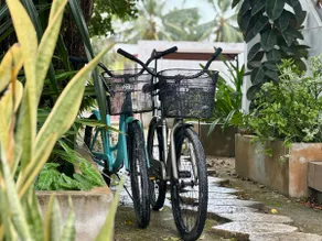 Designer Chic Suite w/ Green Patio & Free Bikes - Image 3