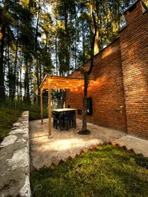 TinyChillHouse 3 Boutique Cabin - Image 4