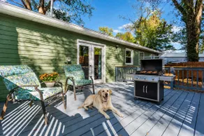 Dogs Run Free · Fenced Yard · Near Decatur - Image 4