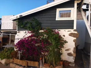 The Little House - Image 4