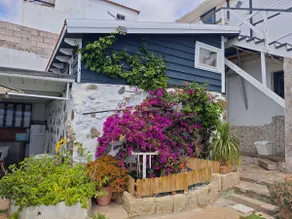 The Little House - Image 2