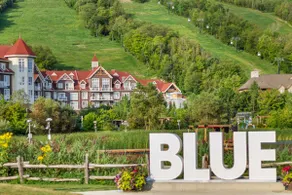 Blue Mountain 2 Bedroom Slopeside - Chateau Ridge 213 - Image 5