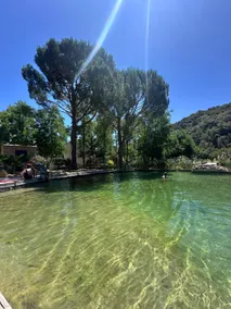 L'Etang des Cigales : Gite des Acacias - Image 5