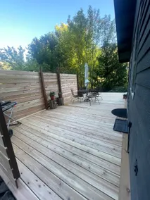 Cozy light-filled cabin in the woods - Image 2