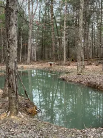 Trail 2 Lake - Image 4