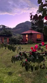 Rustic Chalet | Private Pool - Image 3