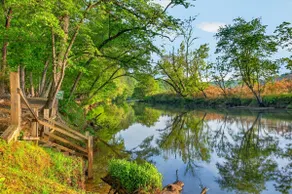 Toccoa River Cottage Romantic River Access - Image 2