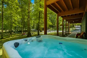 Cabin•HotTub• GameRoom• 16 Acres• NearUTK, - Image 4
