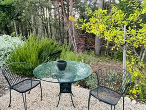 Private Forest Suite | Near UCSC | Hiking & Beach - Image 4