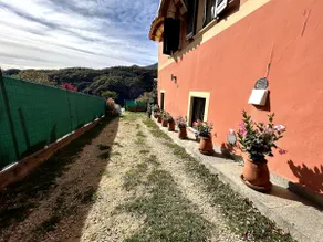 Nature House - Image 4