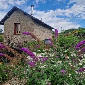 Little quiet authentic renovated gem in Morvan - Image 3