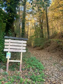 Cottage in the countryside: Les Glycines d'Offwiller 3* - Image 4