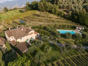 Villa Mareli surrounded by vineyards with pool-spa - Image 2