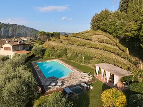 Villa Mareli surrounded by vineyards with pool-spa - Image 3