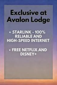 Discover, Enjoy Ultra-Fast Starlink WiFi Lodge - Image 2