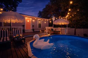 Olive Oasis: 1 mi to Alamo l 8 Beds l Pet Friendly - Image 5