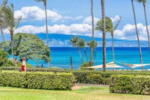 Napili Shores D229: Studio, 1 BA Condominium i Lahaina, 3 sovepladser - Image 2