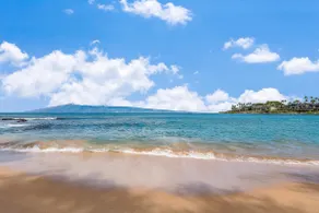 Napili Shores D229: Studio, 1 BA Condominium i Lahaina, 3 sovepladser - Image 5