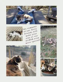 Romantic Cabin w/Cats! Hot Tub/Voted Most /Peach - Image 5