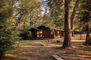 Botanist Cabin · Creekside Tub · Forest Magic - Image 4