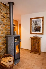 Laax Cozy Apartment Ski Bus at the Door - Image 3