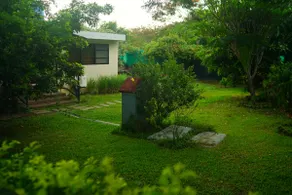 Private Pet Cottage, Fenced Lawn - Image 5