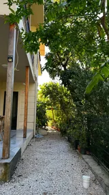 Studio Balart - Image 5