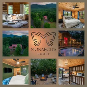 Monarch's Roost Luxe Cabin w Hot Tub and Sauna 10 Min to Helen - Image 2