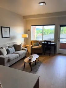 #403 MSU condo Sobo-dog friendly - Image 2