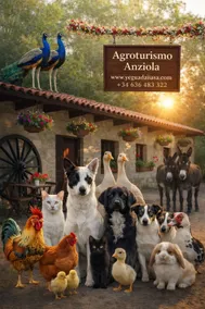 🌺Agroturismo Anziola, relax 10 km from Donosti🌺 - Image 2
