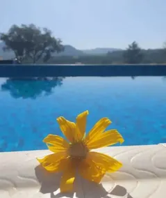 Beautiful house with pool in São Pedro-SP - Image 4