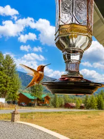 Rocky Mountain Sunset Retreat - Image 5
