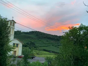Graça in the Valley of Vineyards - Image 4