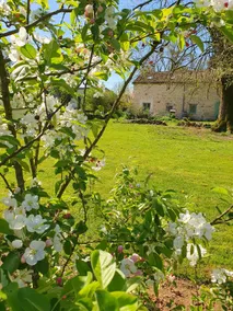 Calm countryside gîte | Walks, cycling & fast WiFi - Image 4