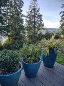 water view tiny guest house - Image 3