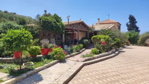 Villa Olivelia with Pool - Afrathias Beach - Image 2