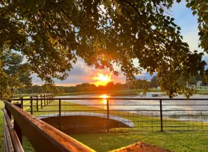 Cottage -5 acres, Pond, Wildlife, Nature, Pets - Image 5
