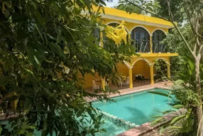 Tunich Loft · 180° jungle and pool view - Image 2
