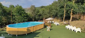 Dimora Il Camaleonte, country location in nature - Image 5