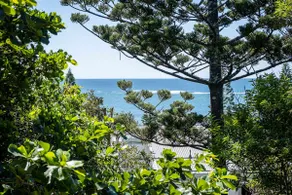 Live like a local In The Heart of Moffat Beach - Image 2