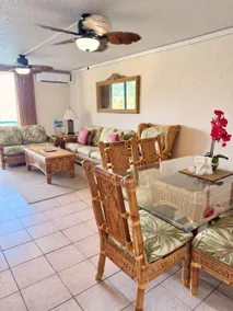 Stunning St. Thomas Condo for Your Tropical Escape - Image 3