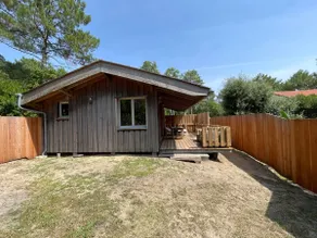 Cosy Forest Cabin (Ty Bach) 500m from the Ocean - Image 2