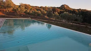 Pool • 4 Ensuite Bedrooms • 10 Secluded Acres BBQ - Image 2