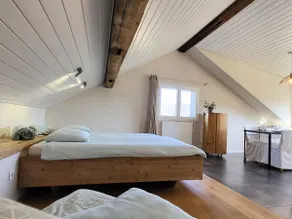 Coeurvert · Chambre Vert – Forest edge & calm - Image 4