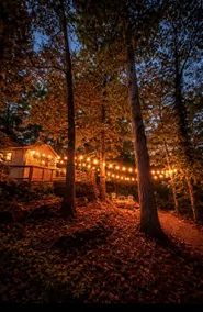 Hidden Lake Sanctuary  - Image 4