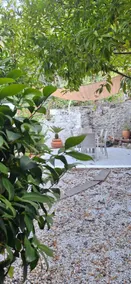 La Quiete garden - Image 3